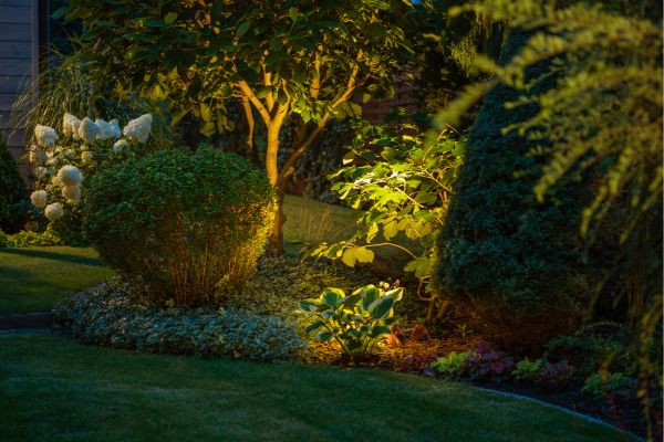 Uplights illuminate a garden bed