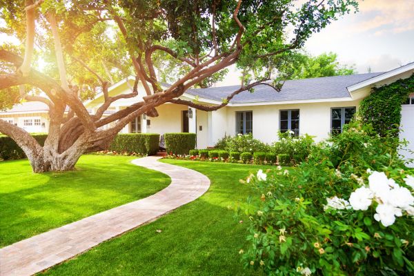 A beautiful front yard that’s been neatly landscaped