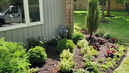 Native-plants-landscape-design-environmental-landscape